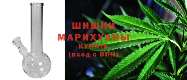 крисы Надым