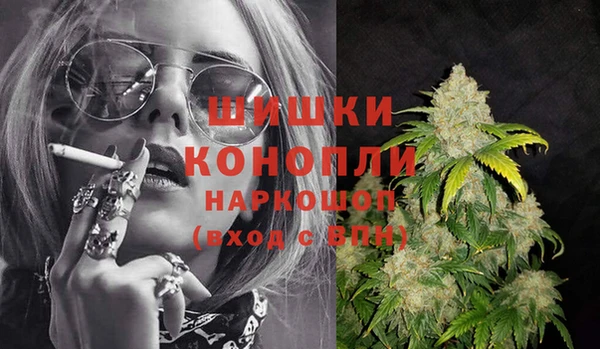 крисы Надым