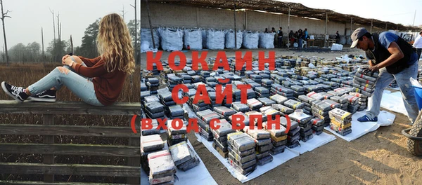крисы Надым