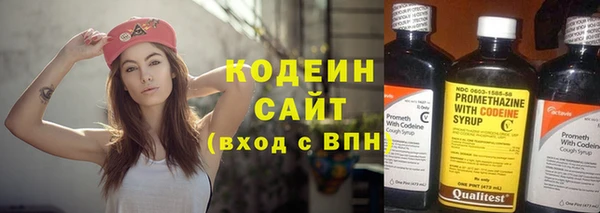 крисы Надым