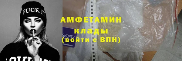 крисы Надым