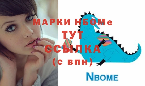 крисы Надым